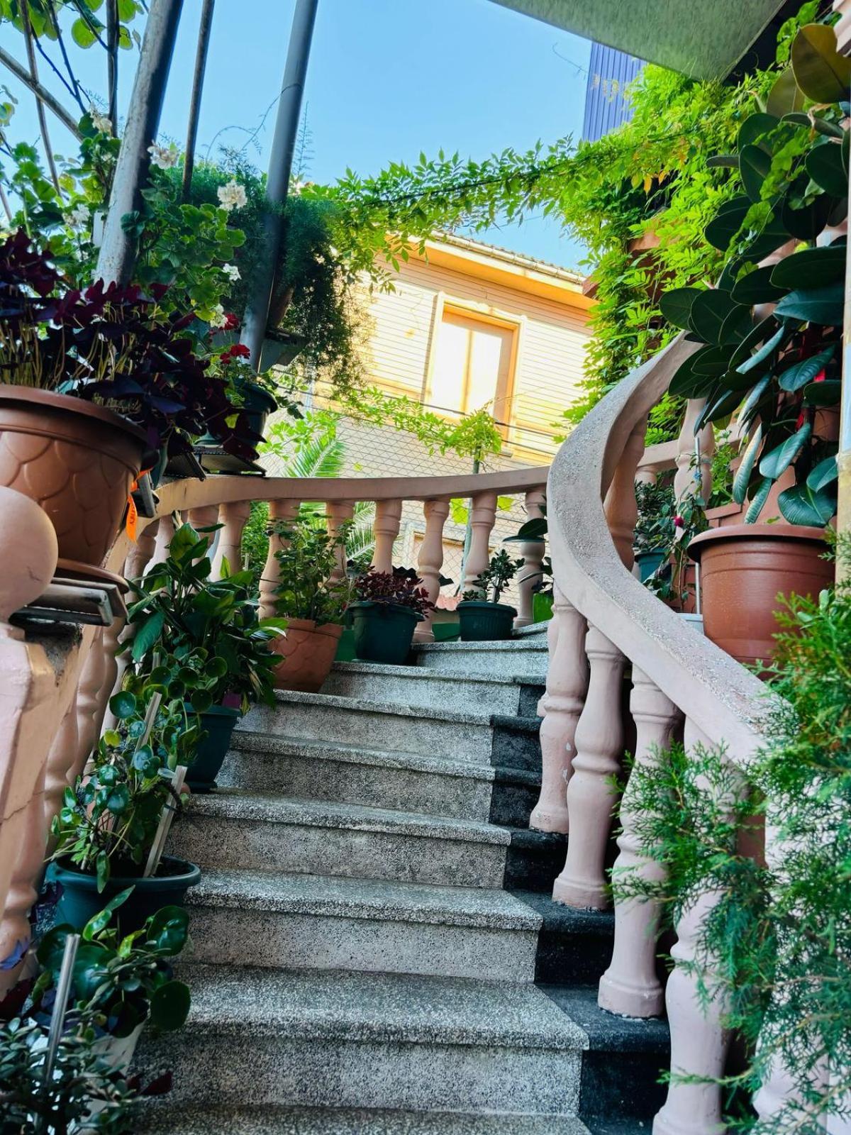 Nikas Guest House Batumi Ngoại thất bức ảnh